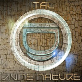 Cover image for Divine Nature