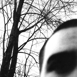 Imagen de portada para Recluse