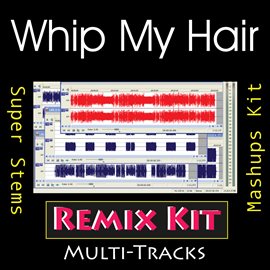 Cover image for Whip My Hair (Multi Tracks Tribute to Willow)