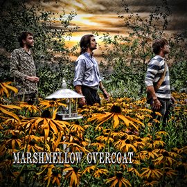 Cover image for On Safari