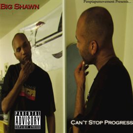 Cover image for Can't Stop Progress