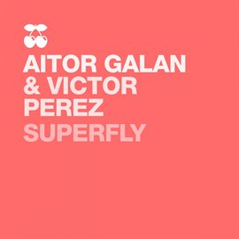 Cover image for Superfly