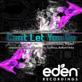 Imagen de portada para Can't Let You Go feat. Lindsay Wrobel