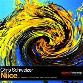 Cover image for Niice