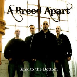 Cover image for Sink to the Bottom