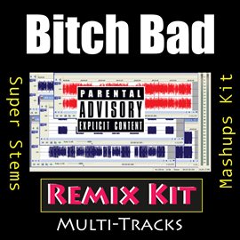 Cover image for Bitch Bad (Remix Kit)