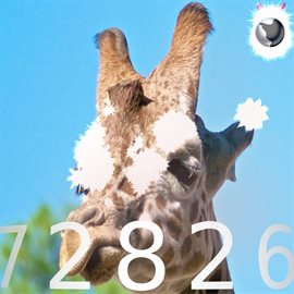 Cover image for 72826