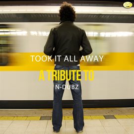Cover image for Took It All Away - A Tribute To N-Dubz