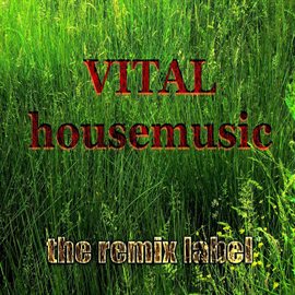 Cover image for Vital Housemusic (Hot Various Artists Proghouse Music Compilation)