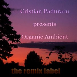 Cover image for Organic Ambient (Progressive Chillout Music Album for Christmas Season)