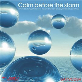 Cover image for Calm Before the Storm