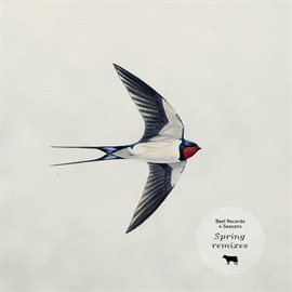 Cover image for Seasons: Spring (Remixes)