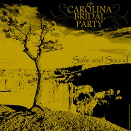 Cover image for Safe and Sound