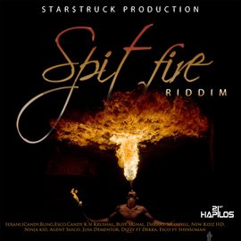 Cover image for Spit Fire Riddim
