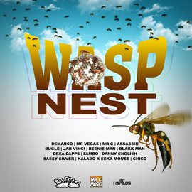 Cover image for Wasp Nest Riddim