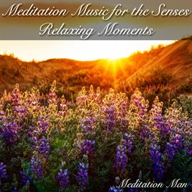 Imagen de portada para Meditation Music for the Senses Relaxing Moments