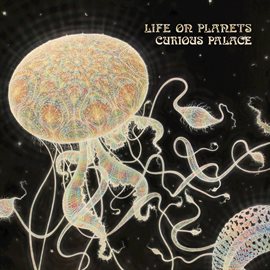 Imagen de portada para Curious Palace