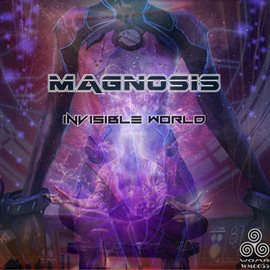 Imagen de portada para Invisible World