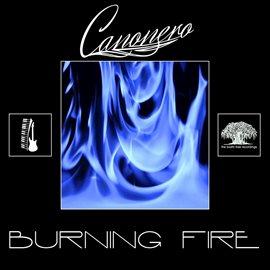 Cover image for Burning Fire