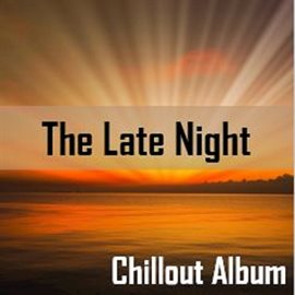 Cover image for The Late Night Chillout Album