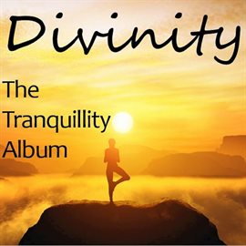 Cover image for Divinity: The Tranquility Album