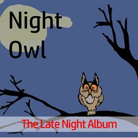 Cover image for Night Owl: The Late Night Album
