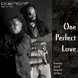 Cover image for One Perfect Love