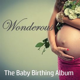 Cover image for Wonderous: The Baby Birthing Album