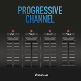 Cover image for Progressive Channel