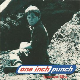 Cover image for Ignorant Bliss