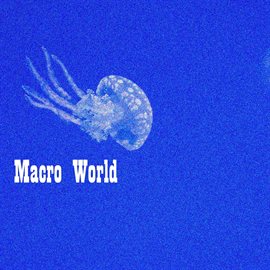 Cover image for Macro World