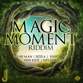 Cover image for Magic Moment Riddim