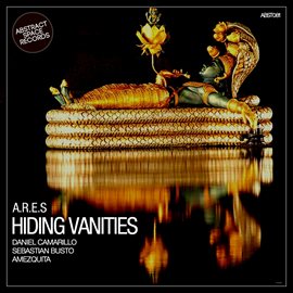 Cover image for Hiding Vanities