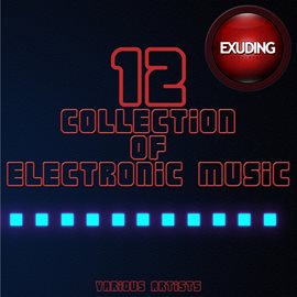 Imagen de portada para Collection of Electronic Music, Vol. 12