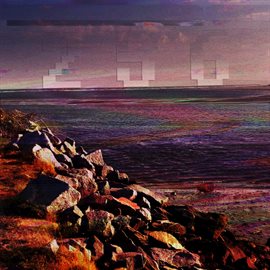 Cover image for 256 Bits Of Gray