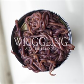 Cover image for Wriggling