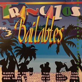 Imagen de portada para Trancazos Bailbles, Vol. 3