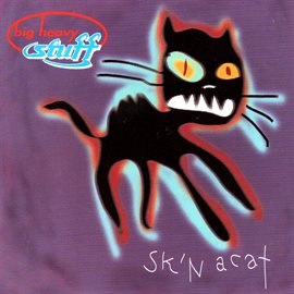 Cover image for Skin a Cat