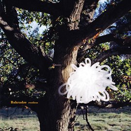 Cover image for Restless