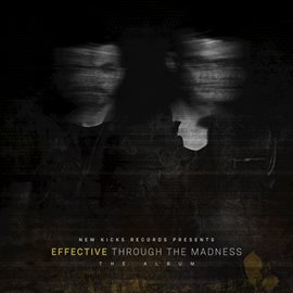 Cover image for Through the Madness