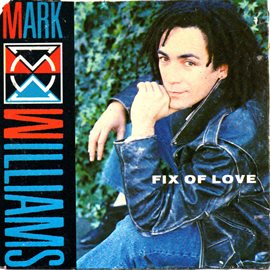 Imagen de portada para Fix of Love