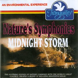 Cover image for Midnight Storm