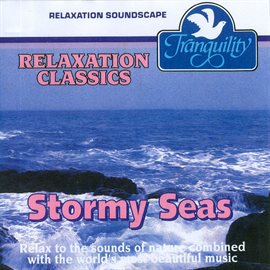 Cover image for Stormy Seas