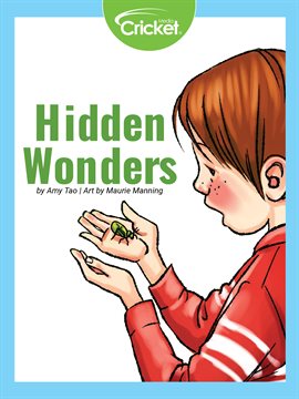 Cover image for Hidden Wonders