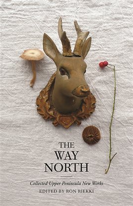 Cover image for The Way North