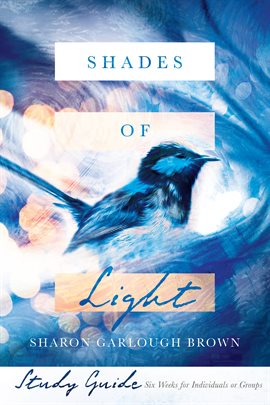 Cover image for Shades of Light Study Guide