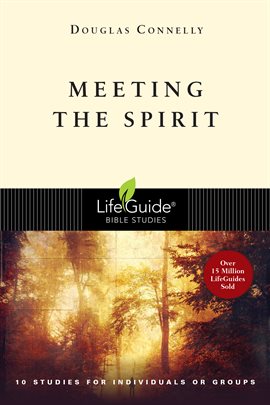 Cover image for Meeting the Spirit