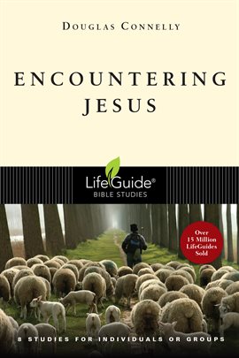 Cover image for Encountering Jesus