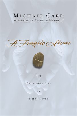 Cover image for A Fragile Stone