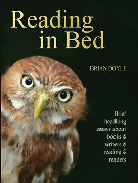 Cover image for Reading In Bed